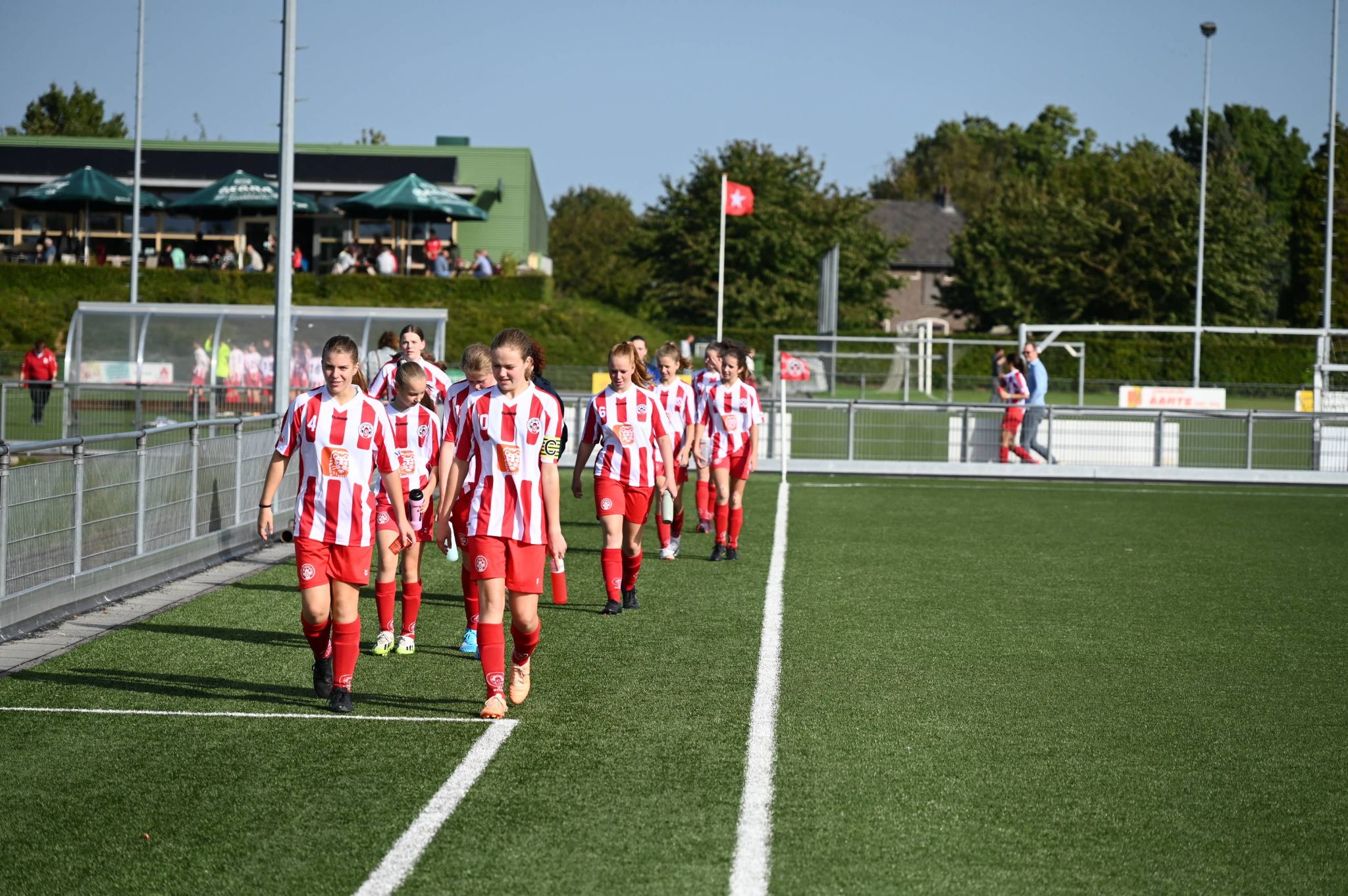 Scharn - Schijndel DE WIT